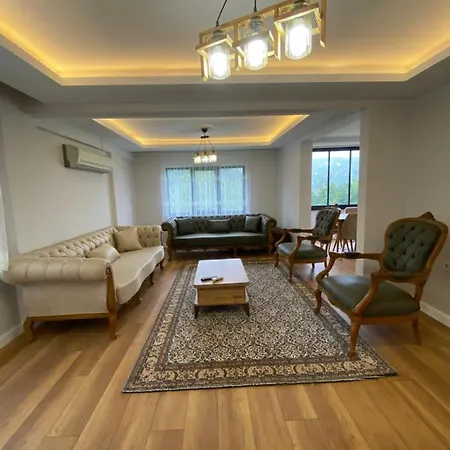 Apartment Kultur Danismanlik